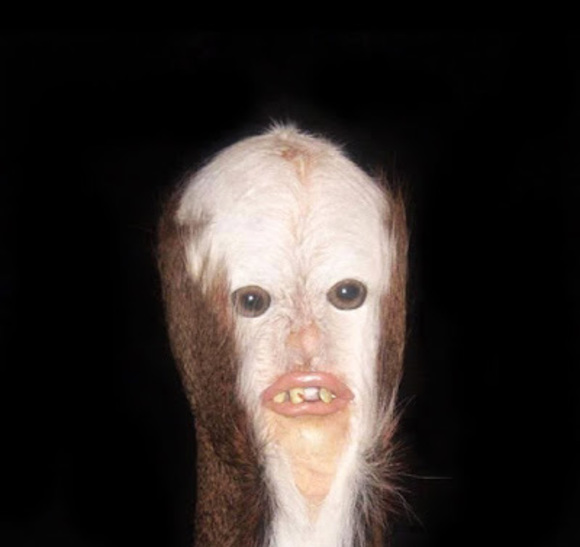 Meet your Posher, Johnathan - Picture 1 of 1